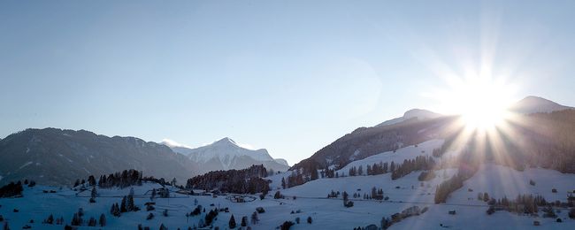 Bild ohne Titel